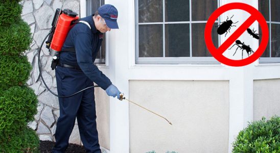 Saray Karınca İlaçlama böcek ilaçlama ve haşere kontrolü — ilaclama-tr.com
